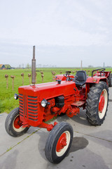 Obraz premium tractor, Noord Holland, Netherlands