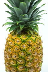 Fototapeta premium fresh pineapple fruits with green leaves