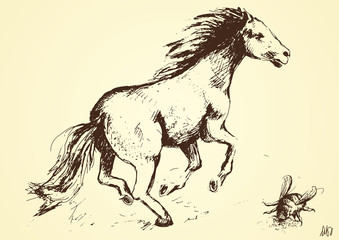 hand drawn of horse and insect