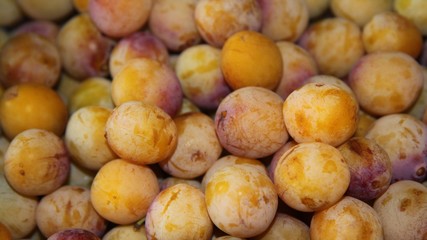 Mirabelles