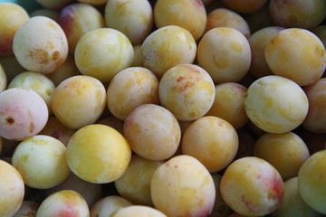 Mirabelles juillet - août