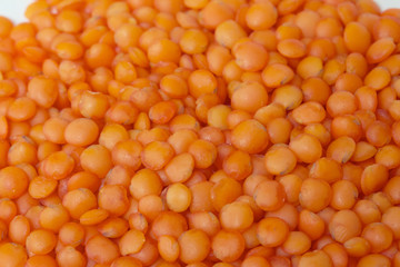 red lentils isolated on white