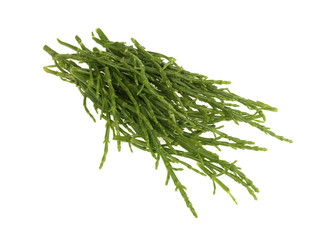Samphire