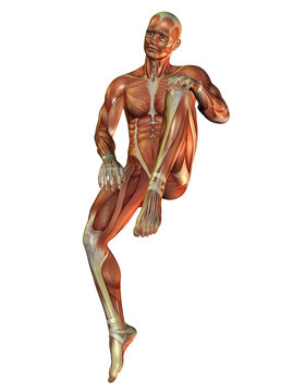 Muskelaufbau Mann in sitzender Pose