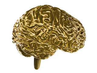 A golden brain