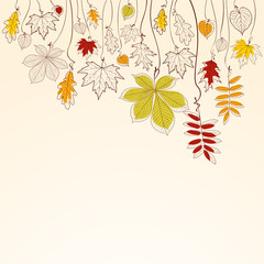 Autumn falling leaves background - 34188943