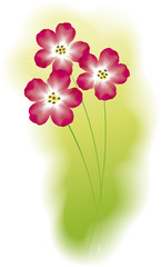 Vector image of bright red flowers