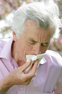 Rhume des foins,rhinite allergique