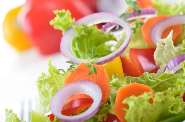 Bunter, gemischter Salat