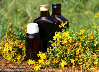 Medical herb - flowers of Johnswort (Hypericum Perforatum) - obrazy, fototapety, plakaty