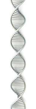 DNA Strang