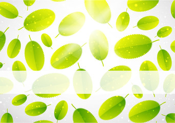 Leaf abstract background