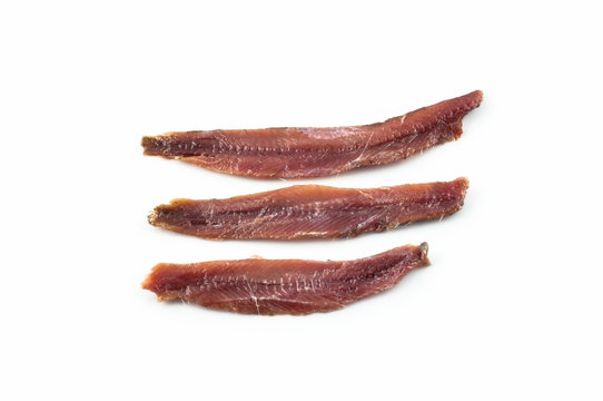 Acciughe Sardine Fish