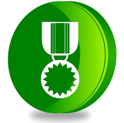 Medal glossy icon