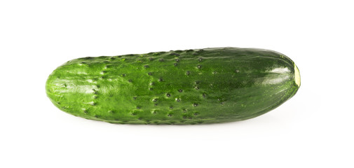 cucumber