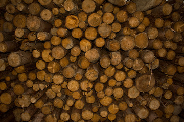 Bois empilé