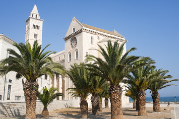 Fototapeta na wymiar Trani (Puglia, Włochy) - Średniowieczne katedry i palmy