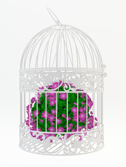 Cage avec des fleurs