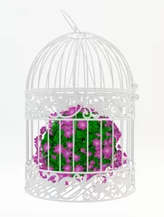 Crédence de cuisine en verre imprimé Oiseaux en cages Cage avec des fleurs