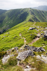 Fototapeta na wymiar Summer mountain ridge-National park Low Tatras-Slovakia/Europe