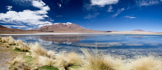 lagoon or lake in Andes Bolivia panorama
