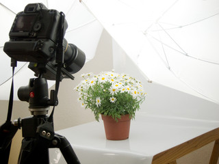Fotostudio