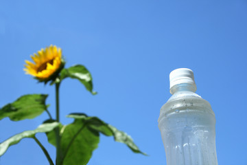 真夏の水分補給