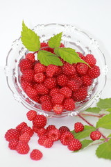 Beeren