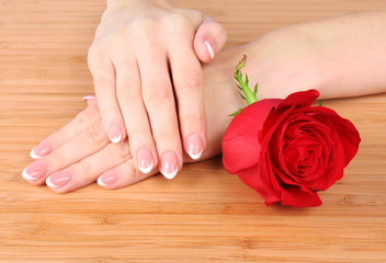 Woman hands with french manicure holding red rose