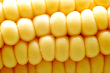 corn