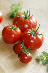 tomaten aus dem garten