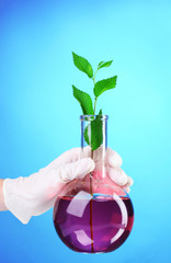 test tube with plants and hand on blue background