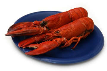 Red lobster
