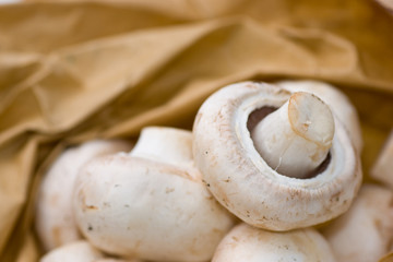 champignon