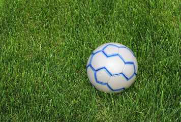 Fototapeta na wymiar Soccer Ball on the Lawn