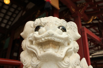 Fototapete bei efototapeten.de bestellen   