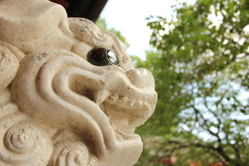 Fototapete bei efototapeten.de bestellen   