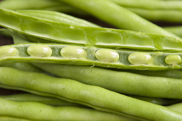 Runner Bean