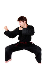 Arts martiaux: garde de combat