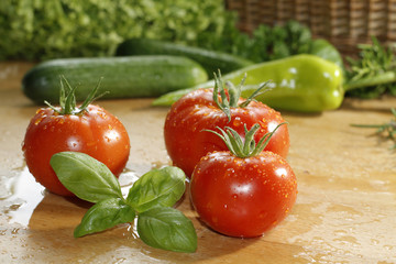 tomaten basilikum