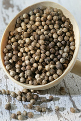 graines de coriandre