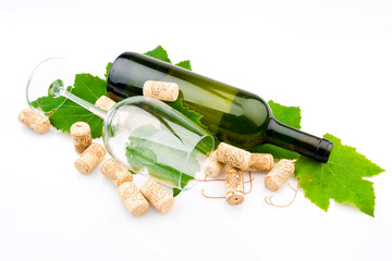 Bottle of wine on the vine