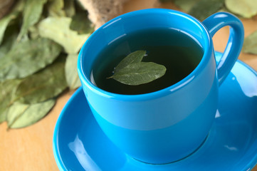 Popular Peruvian herbal tea made of dried coca leaves
