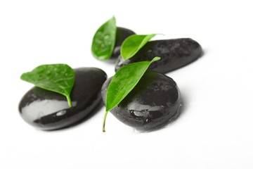 black stones and green leaves
