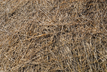 Haystack pile closeup