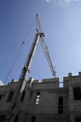 Fototapeta premium crane