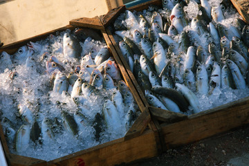 Small fish at the market