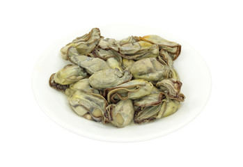 Oysters on white plate