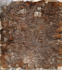 parchment paper