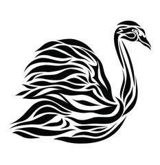 Obraz premium Black swan isolated on white background